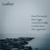 David Fernandez - Gather (feat. Dave Eggar, Ariel de la Portilla, Caroline Buse, Tom Lippincott & Clay Perry) - Single