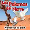 Las Palomas Del Norte - Prisionero De Tus Brazos