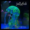 Paul Allan Cooper-James - Jellyfish - Single